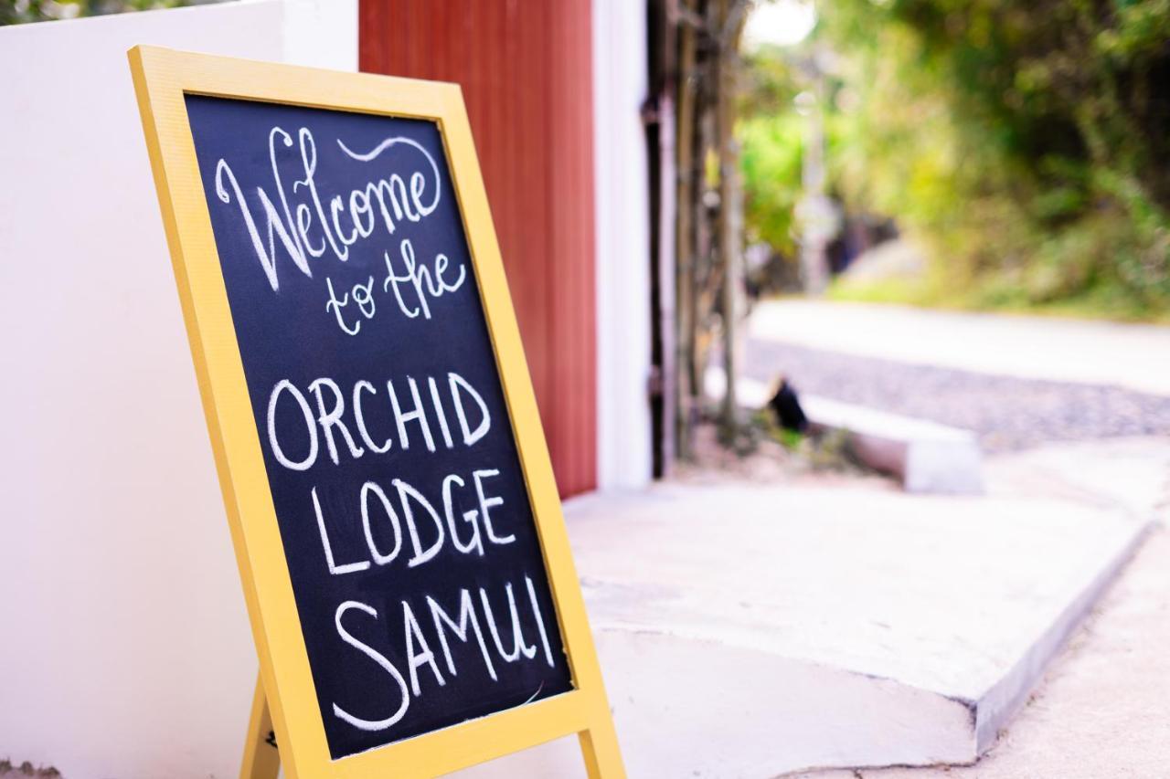 Orchid Lodge Samui - Bed & Breakfast Ламаи-Бич Экстерьер фото